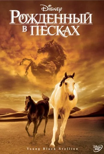 Рожденный в песках (2003) онлайн бесплатно